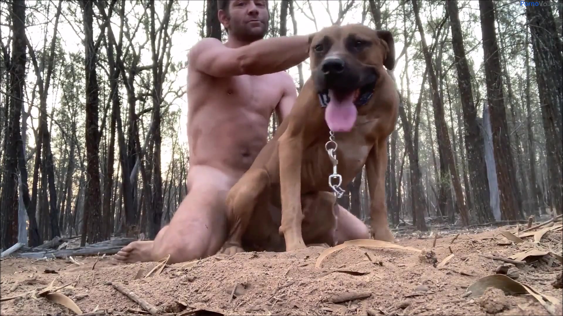 видео порно бесплатно мужики трахают собак фото 25