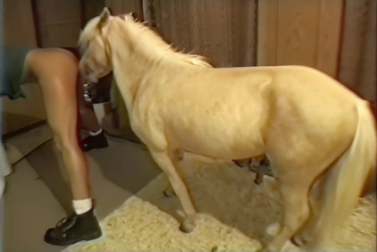Пони жёстко ебет латинскую девушку зоофилку. Brazil horse porn