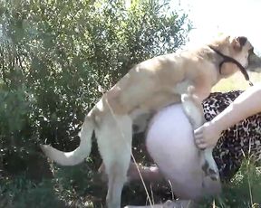 Секс с животными на русском языке видео смотреть